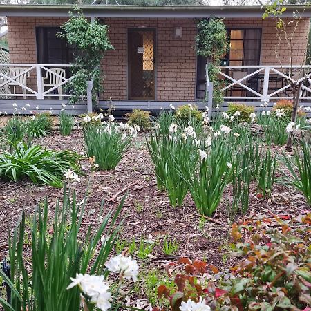 Barossa Country Cottages Lyndoch Extérieur photo