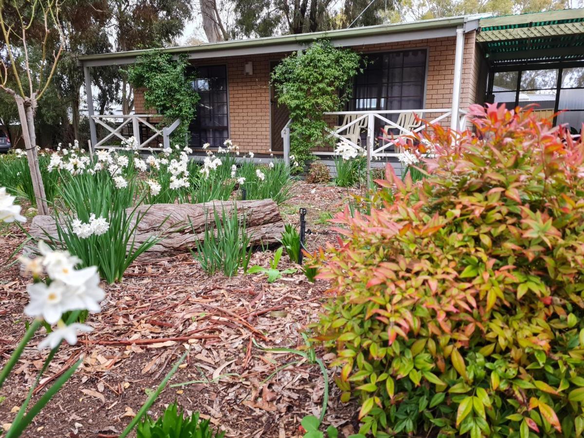 Barossa Country Cottages Lyndoch Extérieur photo